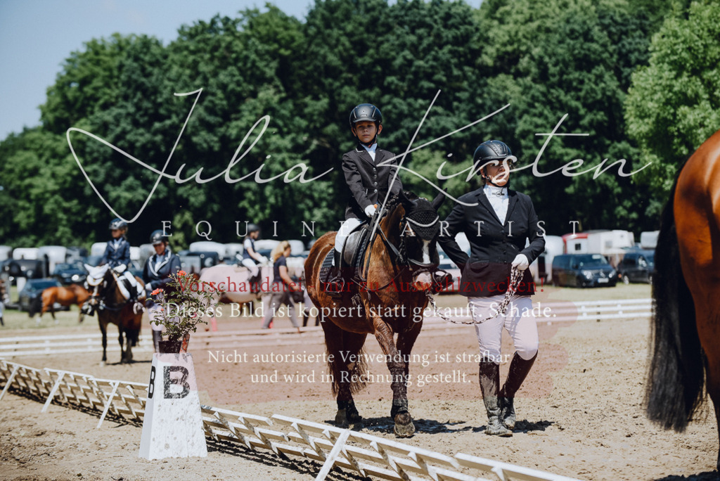 DSC_2246 | Pferde- und Turnierfotografie in Westsachsen. Pferdeportraits, Auftragszeichnungen und intuitive Kunst.