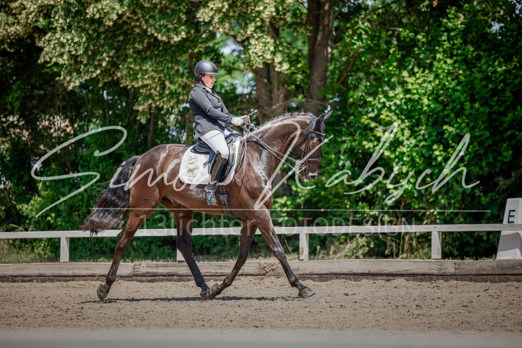 20250621-_3LI7814 | Tierfotografie Pferde, Hunde, Katzen, Haustiere.
Turnierfotografie Reitturniere, Reiten, Springreiten, Dressur in Hanau, dem Main-Kinzig-Kreis und dem Rhein-Main- Gebiet um Frankfurt