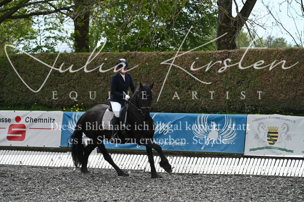 20230512_JK-Röhrsdorf-07-079 | Pferde- und Turnierfotografie in Westsachsen. Pferdeportraits, Auftragszeichnungen und intuitive Kunst.