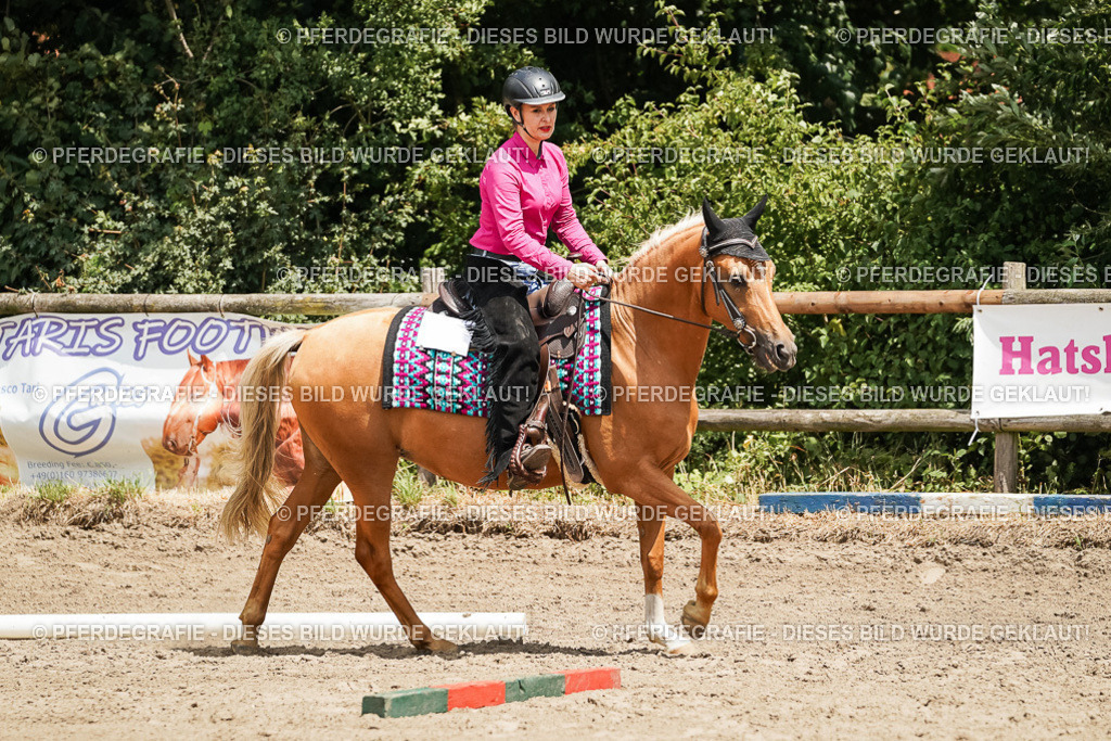 DSC08029 | Pferdegrafie