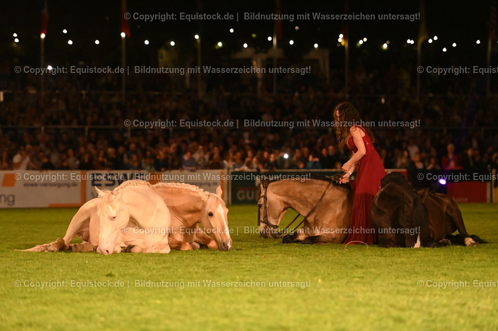 20230526_Pferdenacht_1547 | equistock