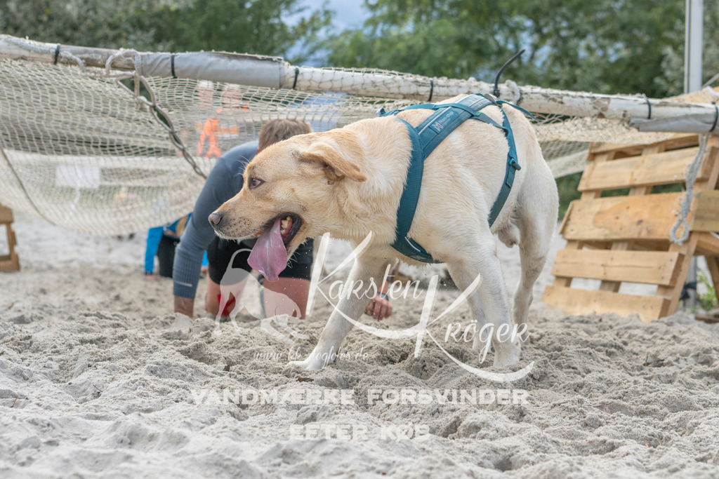1133_ZZ97522 | kk-dogfotos