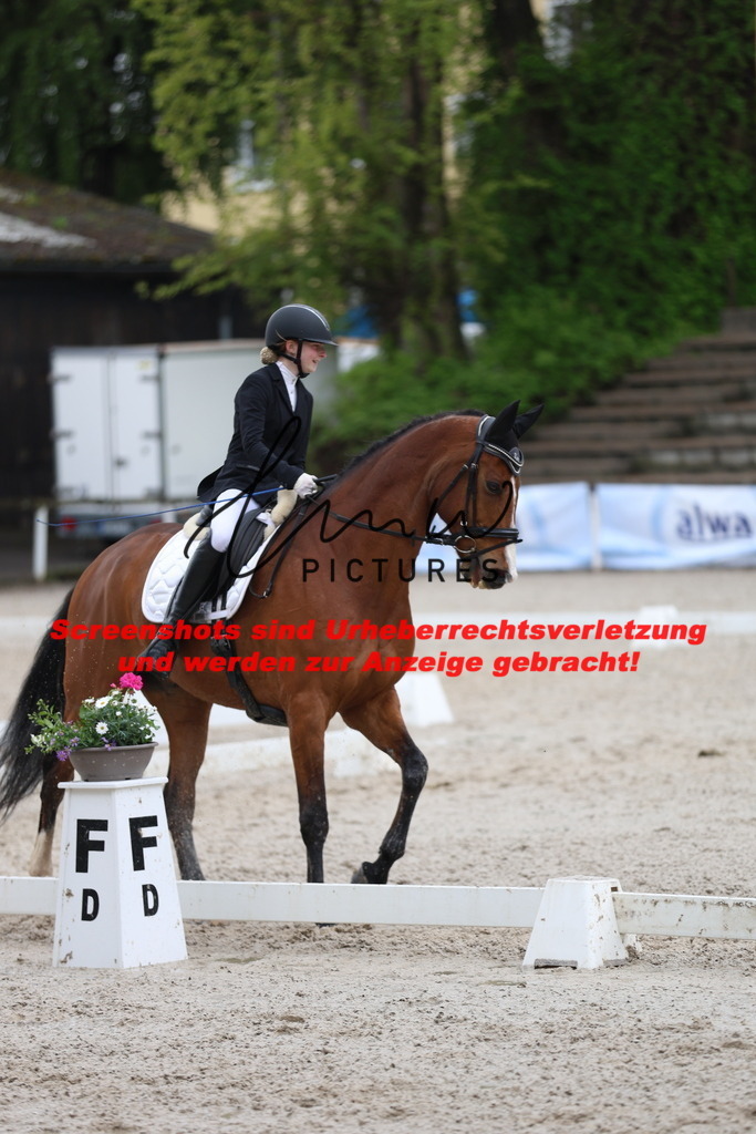 A40A9310 | lmwpictures - Realisiert mit Pictrs.com