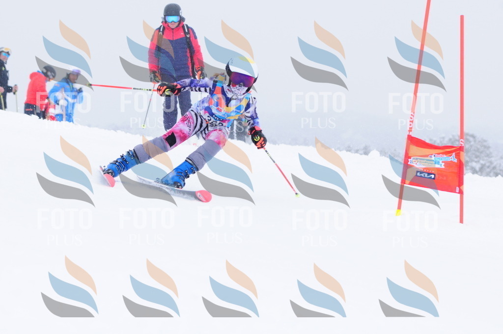 C3762 | holidayphoto