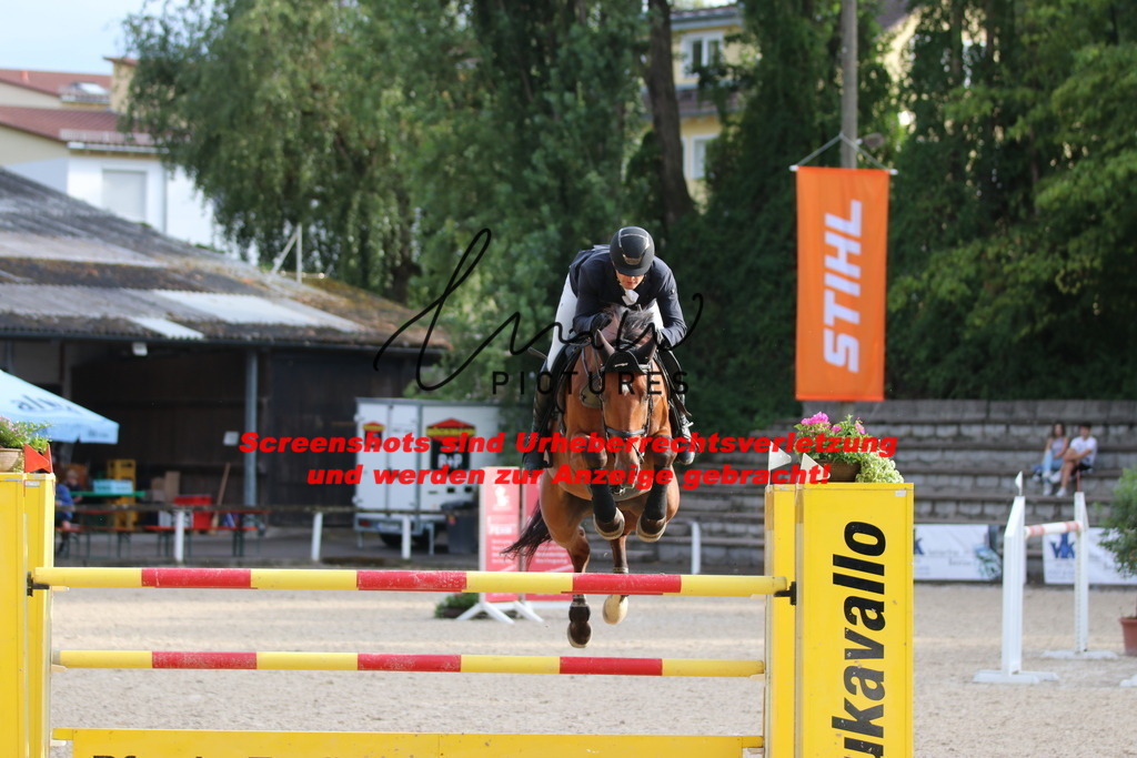 IMG_8611 | lmwpictures - Realisiert mit Pictrs.com