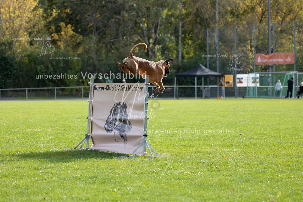 _16A6605 | Einzigartige Fotos von Hunden & Menschen –Actionfotos, Portraits, Vereinsaufnahmen & Paarshootings – authentisch, lebendig & mit Herz.