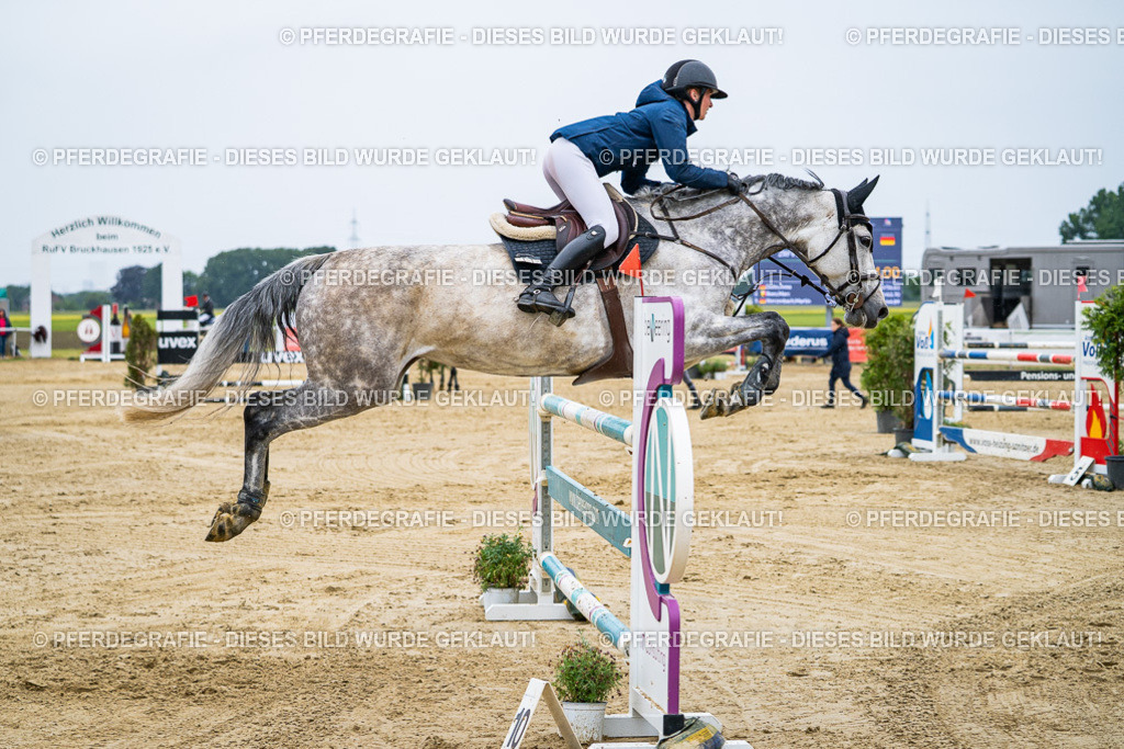 DSC08217 | Pferdegrafie