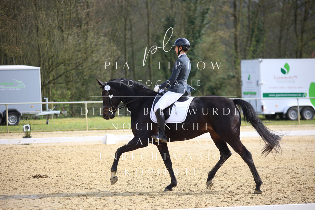 IMGT6363 | pl-fotografie