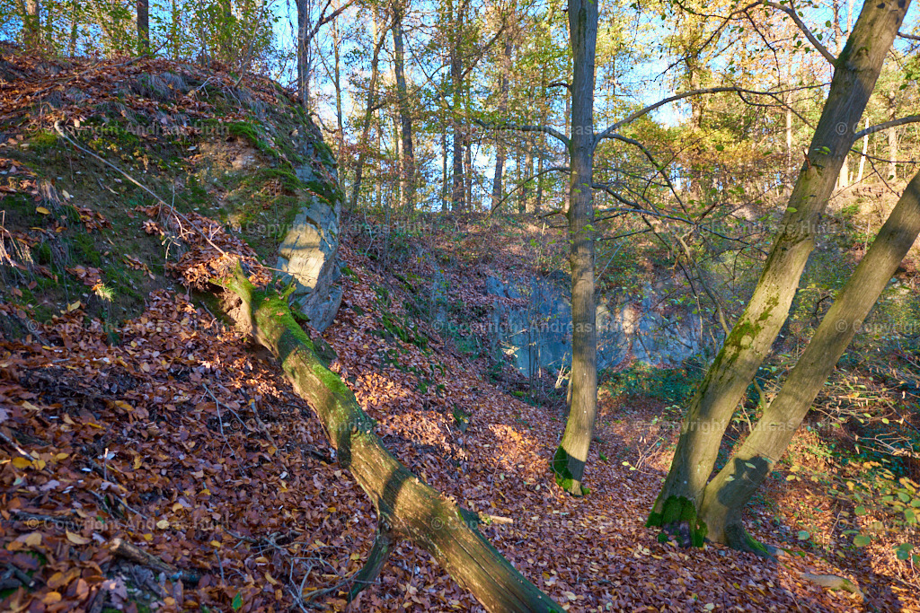 Der Grauwacke-Steinbruch am Fuß des Colmberges  02 | Bedeutsame Landschaften Deutschlands - Realisiert mit Pictrs.com