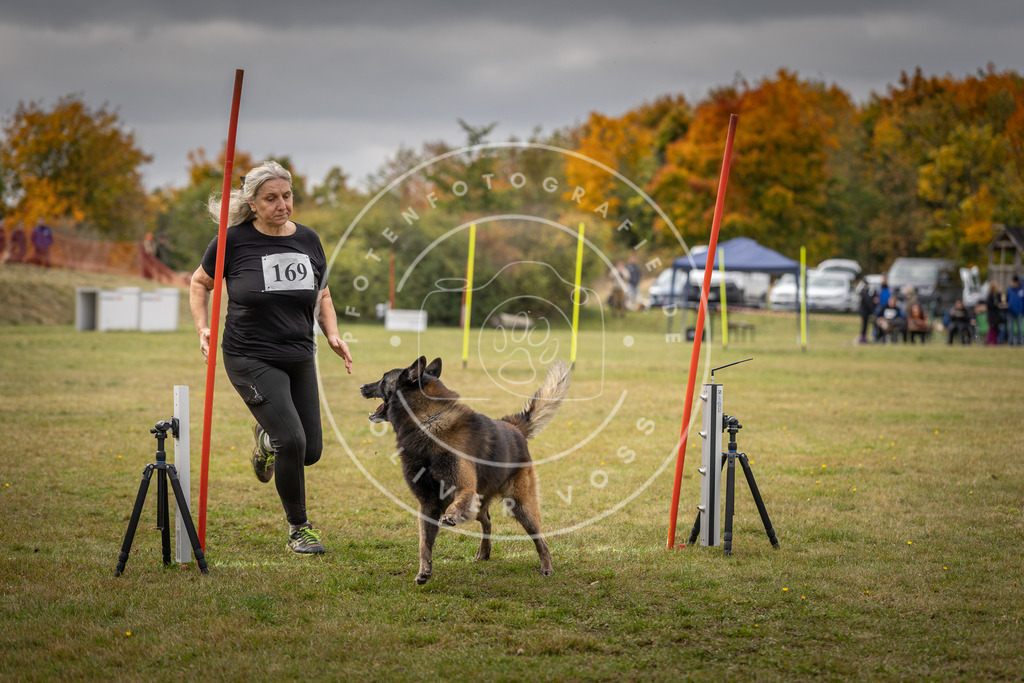 Pfotenfotografie_DV3A5829 | Hundefotografie, Tierfotograf, Pfotenfotografie, Fotoshooting Hund, Hunde Portrait, Hundesport, Hundeportraits, Heideshooting, Hunde, Sportfotograf, Hundefotograf, Turnierhundsport, THS,  - Realisiert mit Pictrs.com