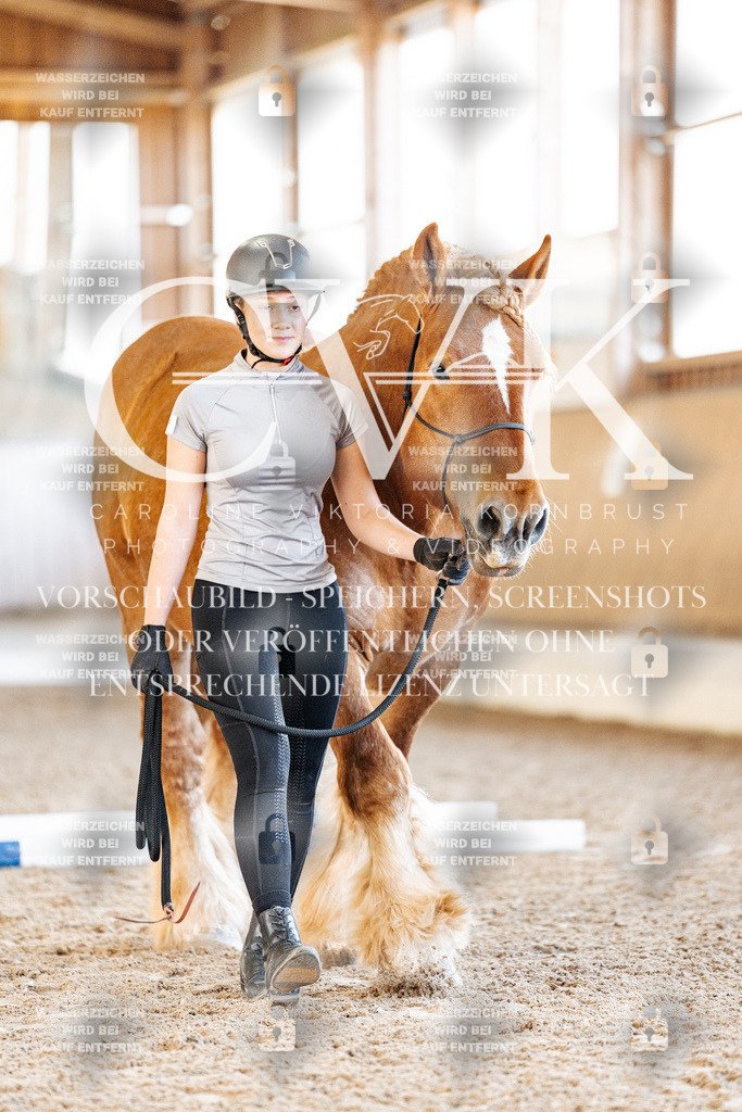 CK905467 | Turnierfotografie Pferdefotografie Trier Rheinland-Pfalz Pferdesport Reitsport Tierfotografie Sportfotografie Pferdevideo Pferdevideografie Equestrianvideography equestrianphotography  - Realisiert mit Pictrs.com