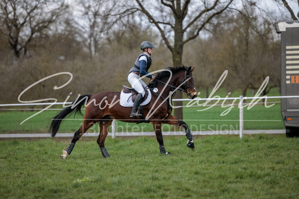 20260329-_3LI5332 | Tierfotografie Pferde, Hunde, Katzen, Haustiere.
Turnierfotografie Reitturniere, Reiten, Springreiten, Dressur in Hanau, dem Main-Kinzig-Kreis und dem Rhein-Main- Gebiet um Frankfurt