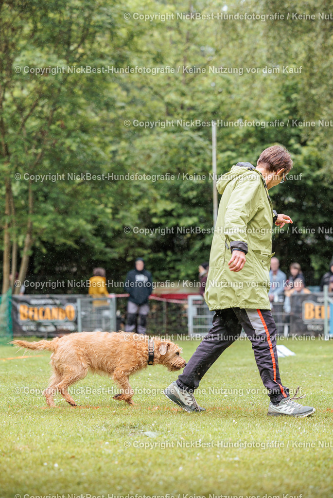 RO-Blumenthal-2026-Nickbest-Hundefotografie-3446 | Dein Hund! Dein Moment! Deine Erinnerungen! Hundefotografie in Bremen Blumenthal. Ich fange die besonderen Momente deines Vierbeiners ein – ob Indoor mit Blitzanlage oder in der freien Natur. Sicher dir dein Moment und dein Termin für eure Erinnerungen.