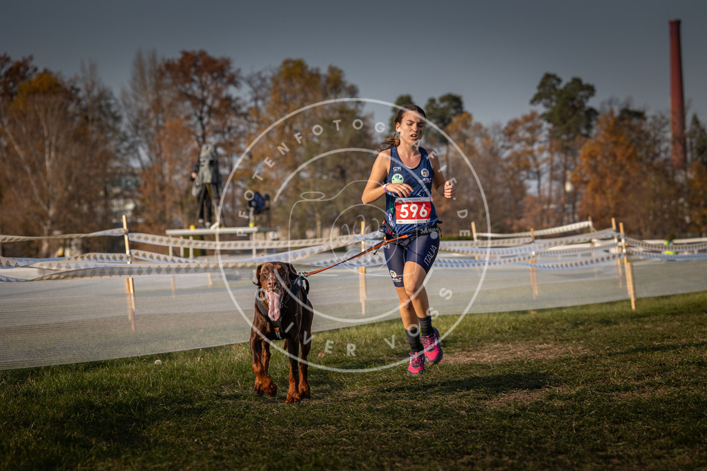 CaniXpix_0L8A0056 | Hundefotografie, Tierfotograf, Pfotenfotografie, Fotoshooting Hund, Hunde Portrait, Hundesport, Hundeportraits, Heideshooting, Hunde, Sportfotograf, Hundefotograf, Turnierhundsport, THS,  - Realisiert mit Pictrs.com