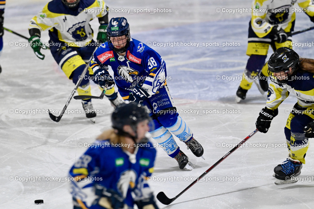 LADY HAWKS vs. WILDCATS PATERNION | #98 Walluschnig Nadine Ramona LADY HAWKS, LADY HAWKS vs. WILDCATS PATERNION, LADY HAWKS vs. WILDCATS PATERNION am 12.03.2025 in Steindorf (Ossiachersee Halle), Austria, (Photo by Bernd Stefan)