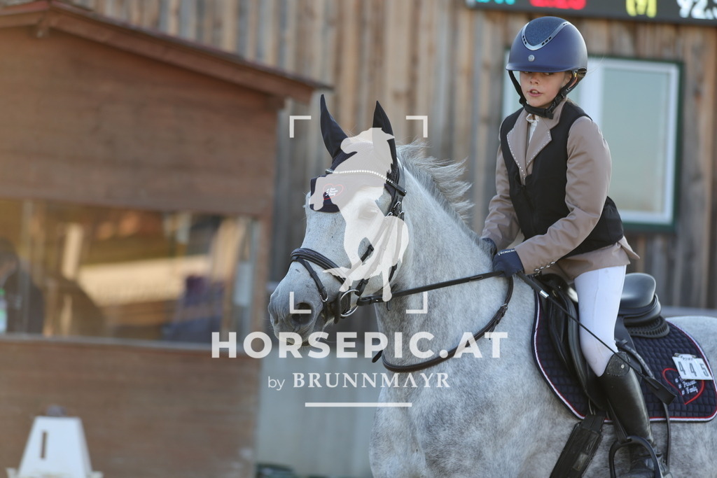 0P6A2363 | Willkommen bei Brunnmayr - Design & Fotografie – Ihrem Spezialisten für Reitturniere und Pferdeveranstaltungen in Oberösterreich, Salzburg und Bayern! Seit über 17 Jahren sind wir leidenschaftlich dabei.