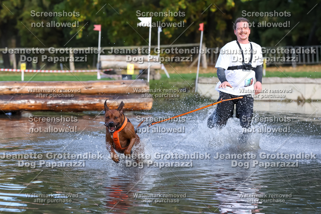 Dog Paparazzi - Strongdog 10-25-7009 | Dog Paparazzi Jeanette Grottendiek Fotografie & Videografie