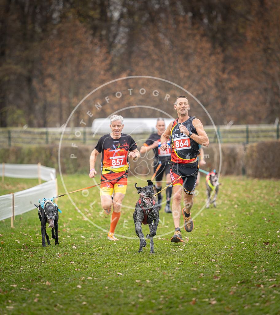 CaniXpix_DV3A6675 | Hundefotografie, Tierfotograf, Pfotenfotografie, Fotoshooting Hund, Hunde Portrait, Hundesport, Hundeportraits, Heideshooting, Hunde, Sportfotograf, Hundefotograf, Turnierhundsport, THS,  - Realisiert mit Pictrs.com