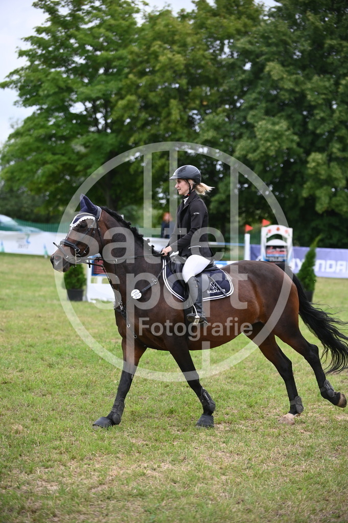 DSC_1162 | sattelsport - Realisiert mit Pictrs.com