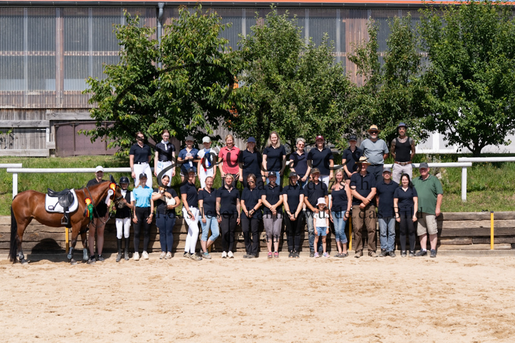 A7V08609 | Pferdefotograf