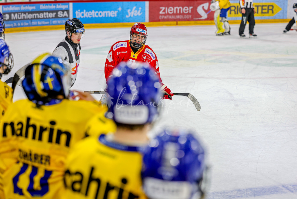 EHCB vs HCD-1574 | Sportbilder, Sportfotograf, Hochzeits- und Eventfotografin, Flugshows, Portraits und Tiershooting, Aviation, Downhill, Nationalleague, Swissleague, International