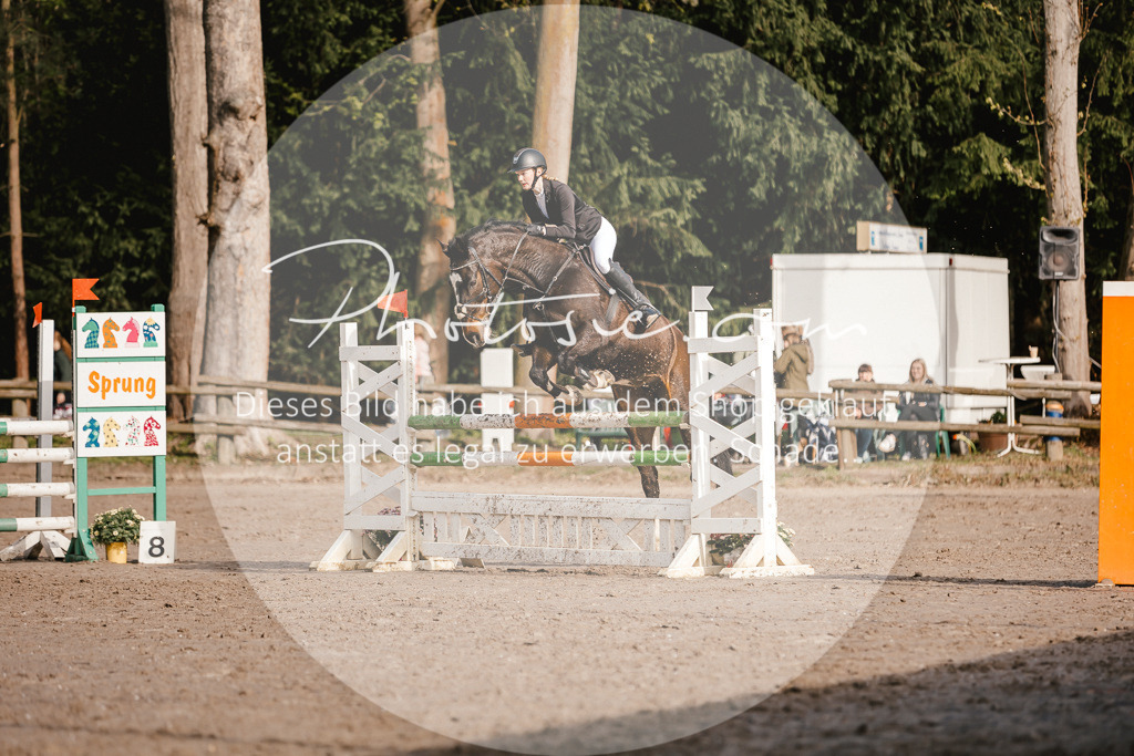 3I6A3489 | Stimmungsvolle Portraits und Reitsportfotografie im Ruhrgebiet und im Münsterland.

Pferdefotografie, Hundefotografie, Tierfotografie, Reportagen, Portraits von Tier und Mensch, Turnierfotografie in Bochum, Recklinghausen, Marl, Haltern am See, Dülmen.. - Realisiert mit Pictrs.com