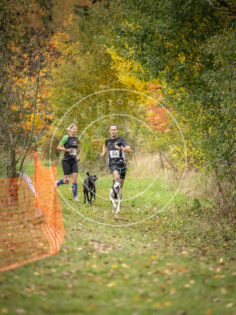 Pfotenfotografie_DV3A2434 | Hundefotografie, Tierfotograf, Pfotenfotografie, Fotoshooting Hund, Hunde Portrait, Hundesport, Hundeportraits, Heideshooting, Hunde, Sportfotograf, Hundefotograf, Turnierhundsport, THS,  - Realisiert mit Pictrs.com