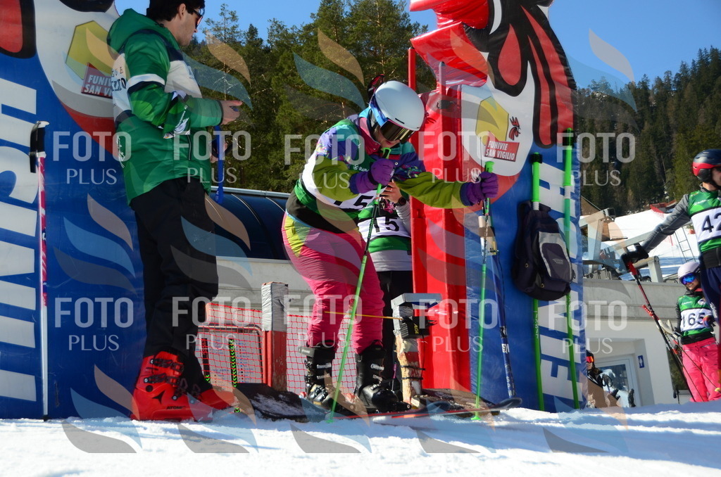 C6178 | holidayphoto