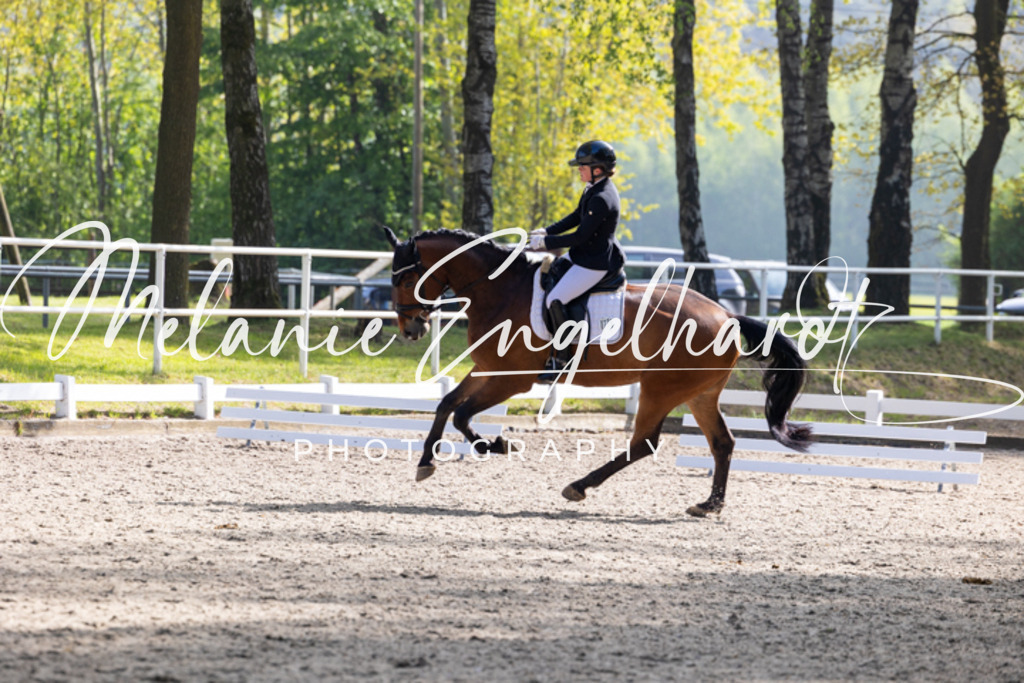 7I8A1236 | melanie-engelhardt-photography - Realisiert mit Pictrs.com