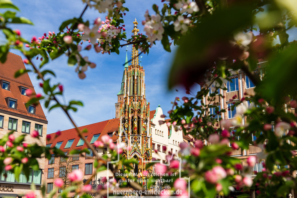 Frühling in Nürnberg | Impressionen vom ersten warmen Tag des Jahres in Nürnberg: Überall präsentiert sich das frische Grün der blühenden Vegetation. - Realisiert mit Pictrs.com
