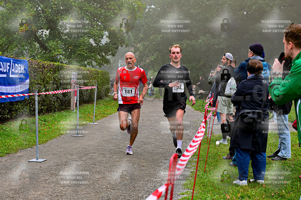 Z8N_1363 | la-psv - Realisiert mit Pictrs.com