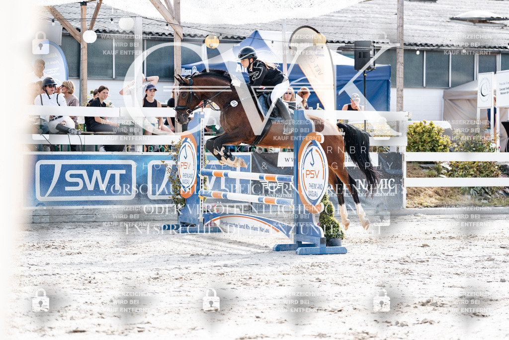 CK905649 | Turnierfotografie Pferdefotografie Trier Rheinland-Pfalz Pferdesport Reitsport Tierfotografie Sportfotografie Pferdevideo Pferdevideografie Equestrianvideography equestrianphotography  - Realisiert mit Pictrs.com