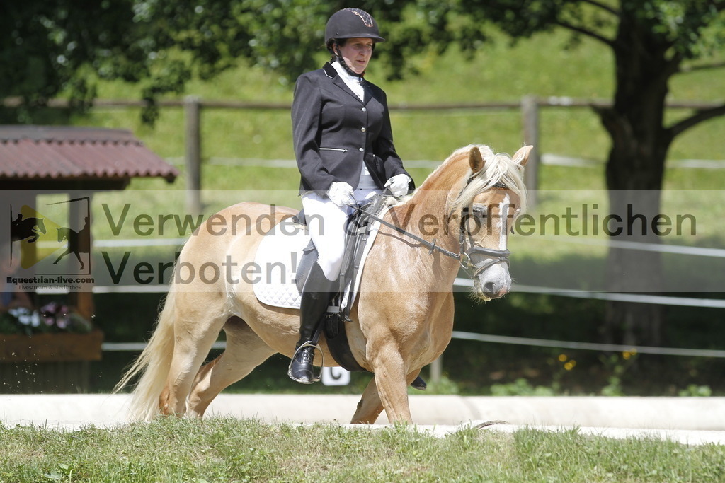 _MG_0920 | equestrian-live-com