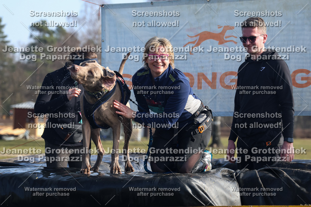 Dog Paparazzi - Strongdog North Mrz26-1368 | Dog Paparazzi Jeanette Grottendiek Fotografie & Videografie - Realisiert mit Pictrs.com