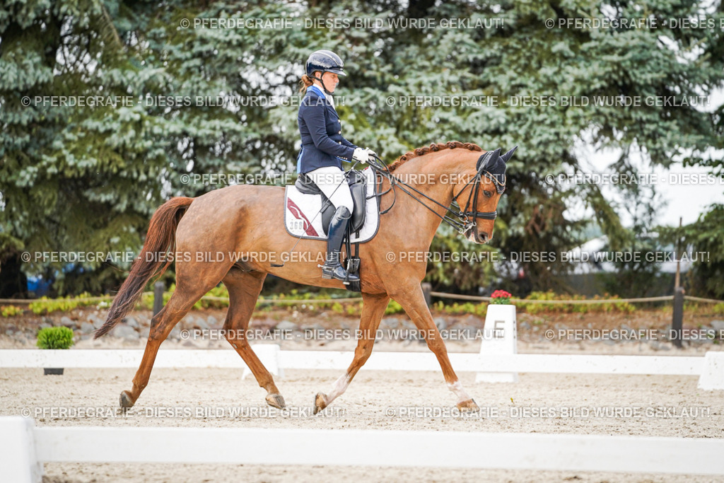 DSC08679 | Pferdegrafie