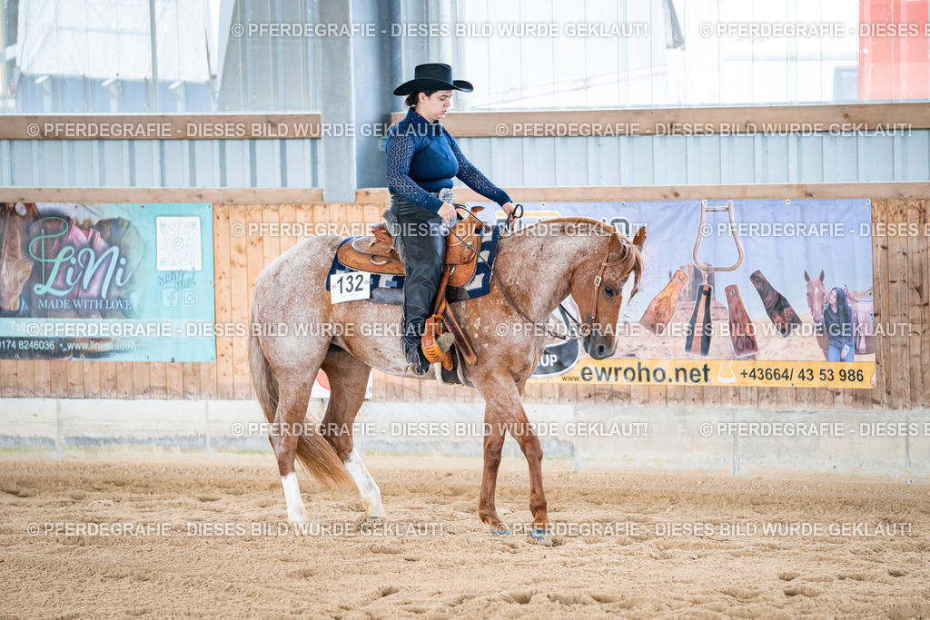 DSC02010 | Pferdegrafie