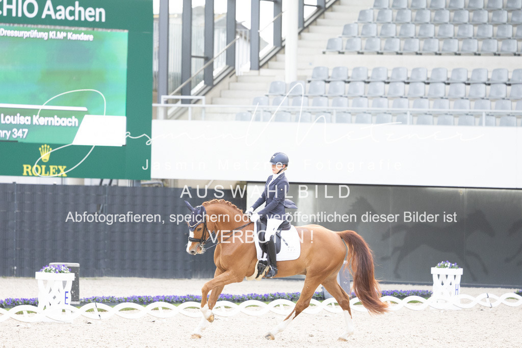 126A4620 | jasminmetznerfotografie