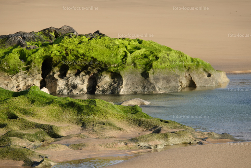 13 | foto-focus-online