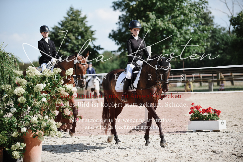 DSC_9884 | Pferde- und Turnierfotografie in Westsachsen. Pferdeportraits, Auftragszeichnungen und intuitive Kunst.