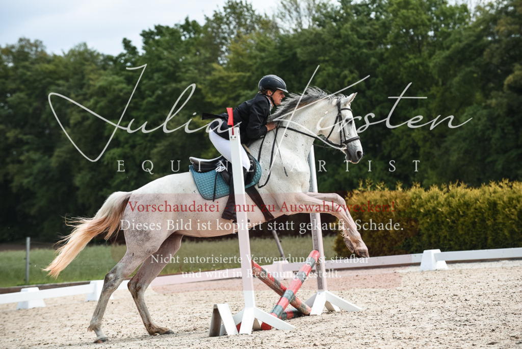 20230518_JK-Röhrsdorf-10-276 | Pferde- und Turnierfotografie in Westsachsen. Pferdeportraits, Auftragszeichnungen und intuitive Kunst.