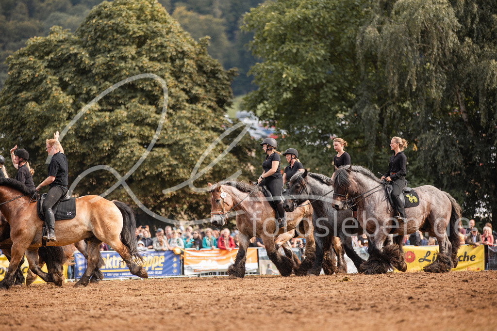 846A4139 | fotosleben - Realisiert mit Pictrs.com