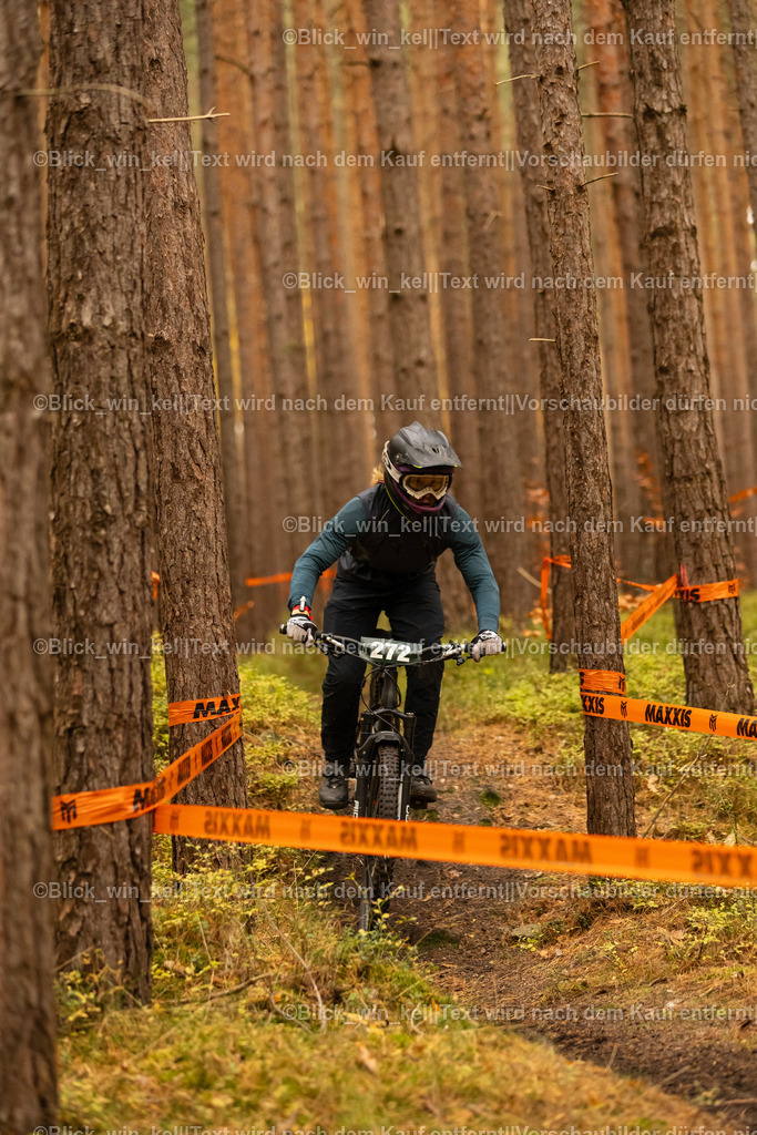 E68A3115 | blick_win_kel