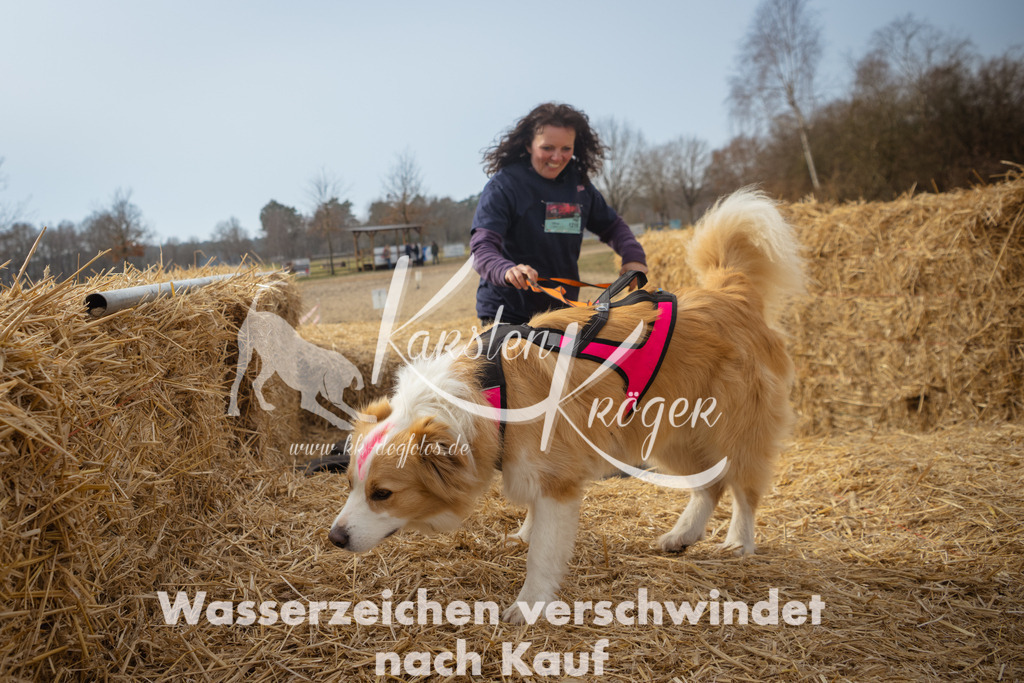 1115_ZZ92514 | kk-dogfotos