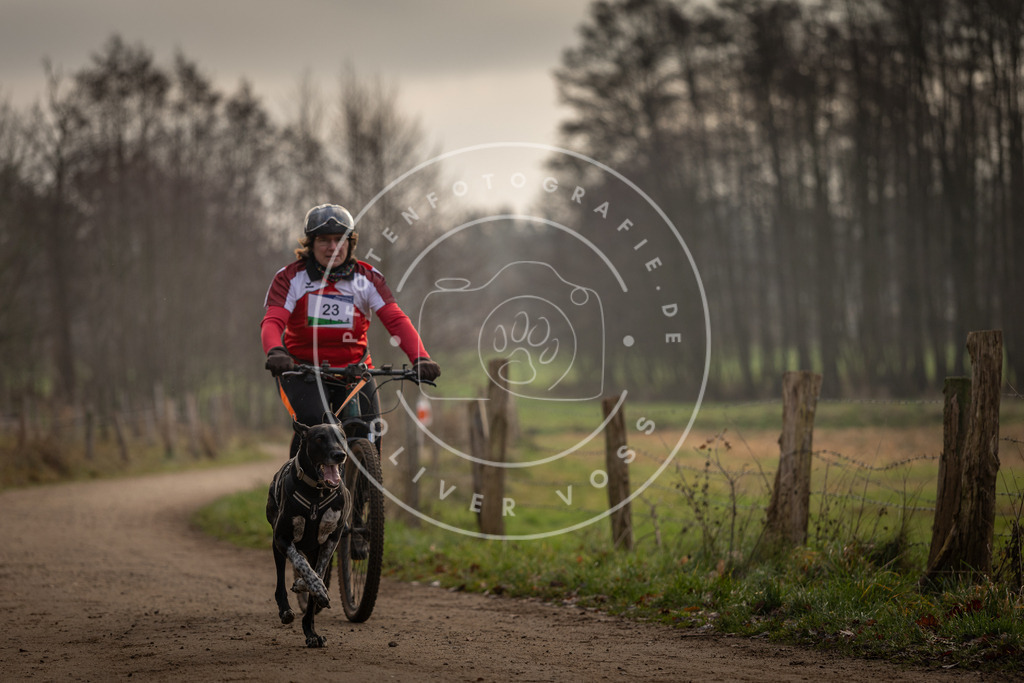 Pfotenfotografie_DV3A1996 | Hundefotografie, Tierfotograf, Pfotenfotografie, Fotoshooting Hund, Hunde Portrait, Hundesport, Hundeportraits, Heideshooting, Hunde, Sportfotograf, Hundefotograf, Turnierhundsport, THS,  - Realisiert mit Pictrs.com