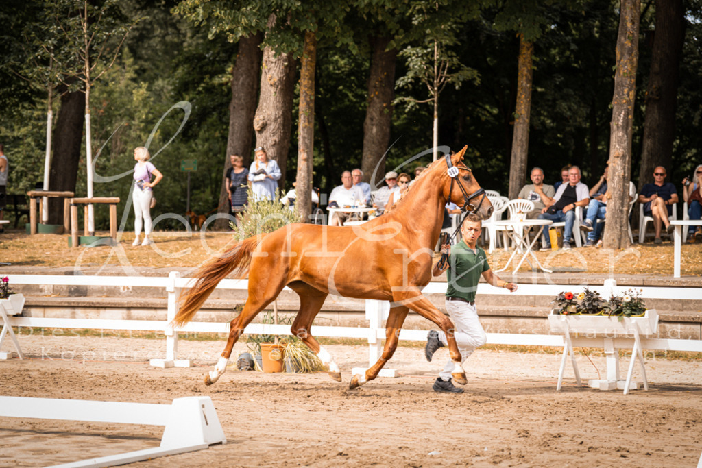 7.Fr00034 | Leoni Ertmer Photography - Realisiert mit Pictrs.com