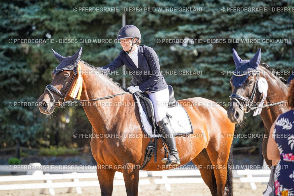 DSC00112 | Pferdegrafie