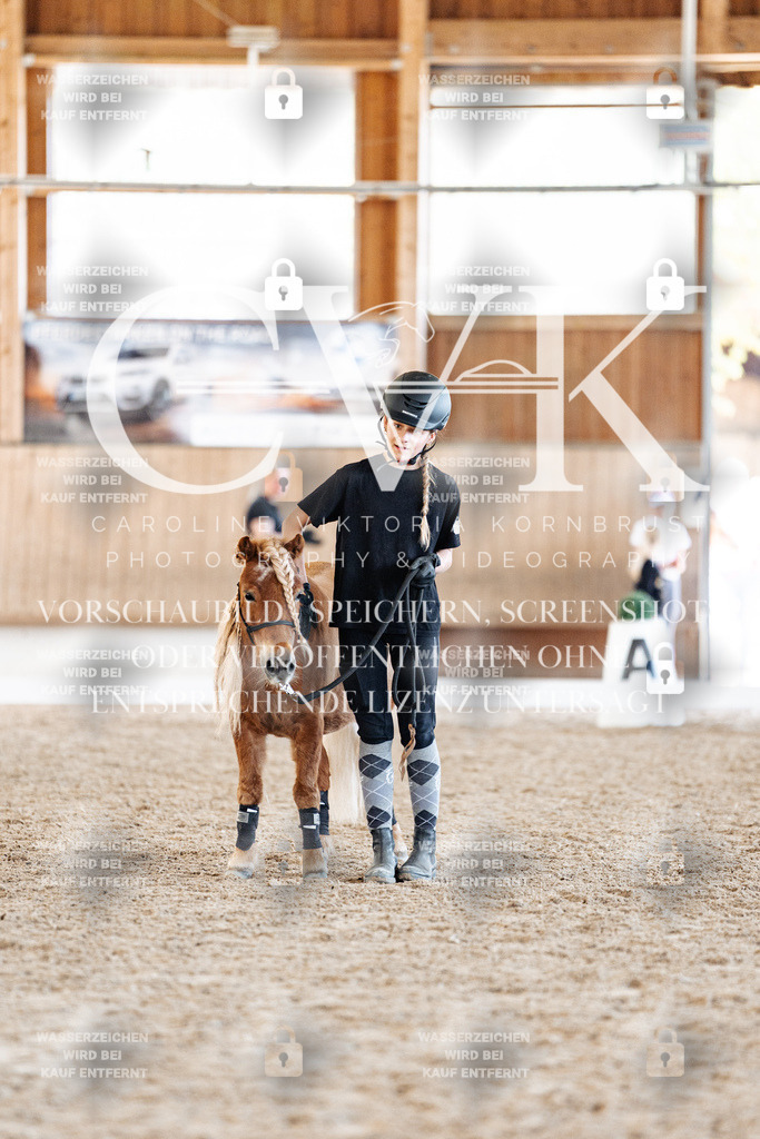 CK907014 | Turnierfotografie Pferdefotografie Trier Rheinland-Pfalz Pferdesport Reitsport Tierfotografie Sportfotografie Pferdevideo Pferdevideografie Equestrianvideography equestrianphotography  - Realisiert mit Pictrs.com