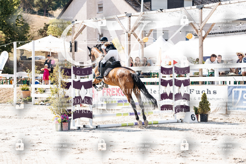 CK905154 | Turnierfotografie Pferdefotografie Trier Rheinland-Pfalz Pferdesport Reitsport Tierfotografie Sportfotografie Pferdevideo Pferdevideografie Equestrianvideography equestrianphotography  - Realisiert mit Pictrs.com