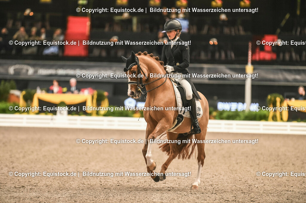20231115_20_Dressur_Kl-S++_0563_TOMsPiC | Foto: Thomas Hartig