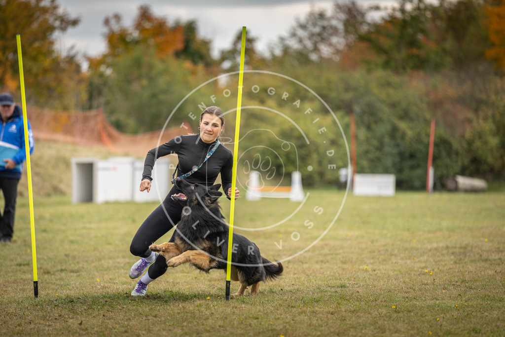 Pfotenfotografie_DV3A7747 | Hundefotografie, Tierfotograf, Pfotenfotografie, Fotoshooting Hund, Hunde Portrait, Hundesport, Hundeportraits, Heideshooting, Hunde, Sportfotograf, Hundefotograf, Turnierhundsport, THS,  - Realisiert mit Pictrs.com